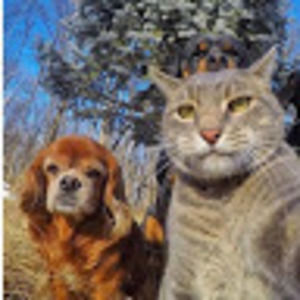 Meet your Posher, Gavin